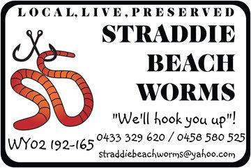 Straddie Beachworms