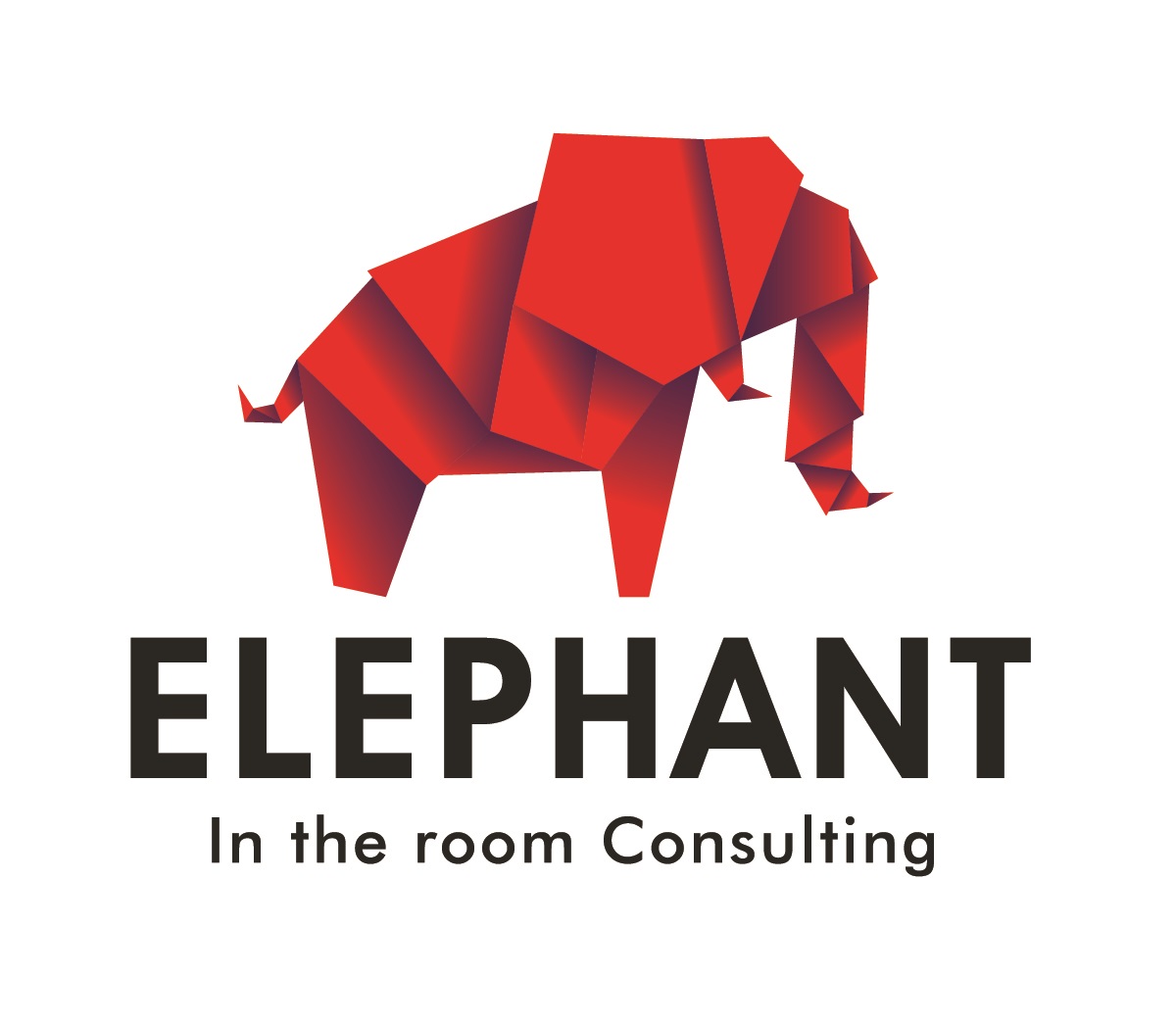 Elephant In The Room Consulting